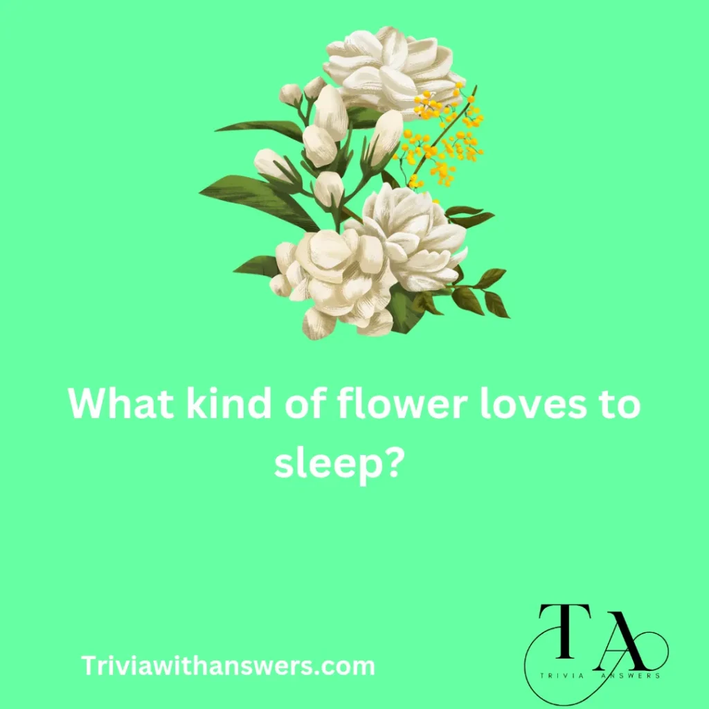 "Flower Trivia Questions and Answers"