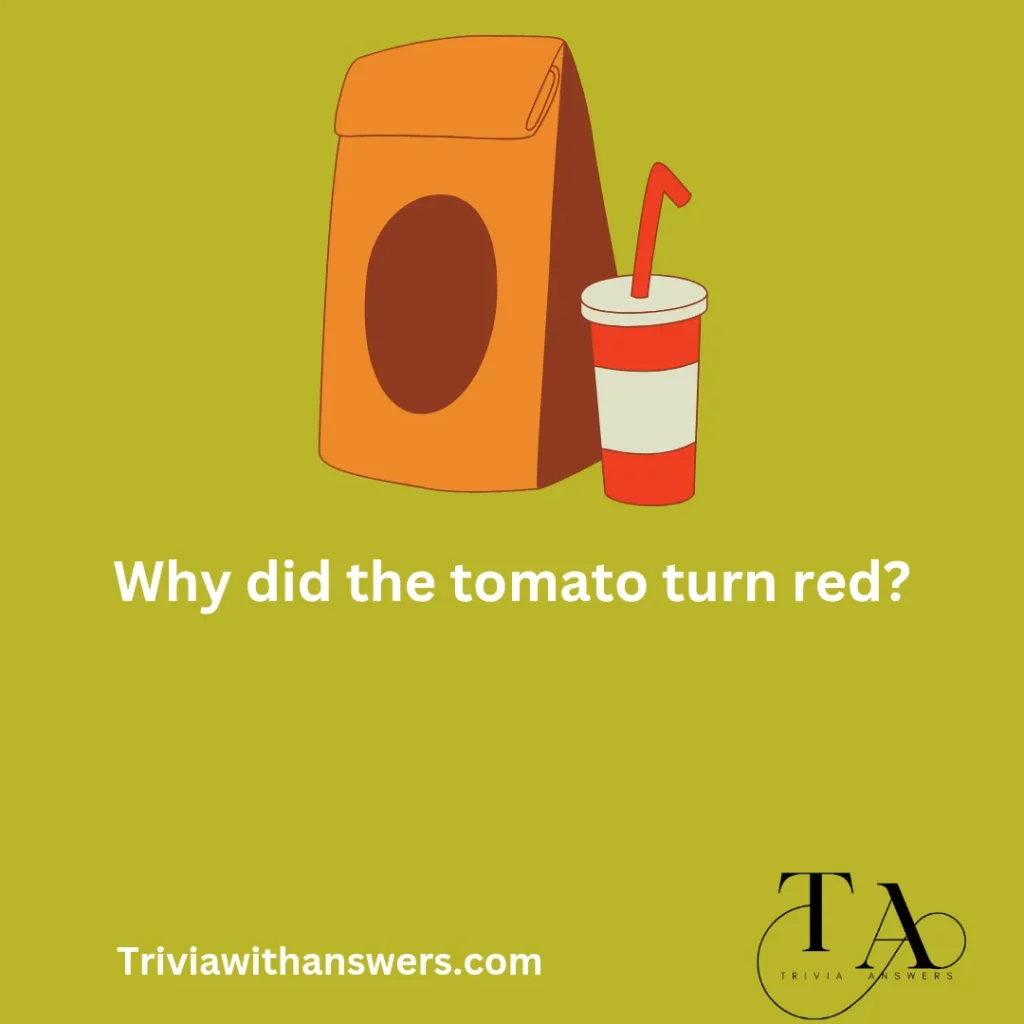 "Fast Food Trivia Questions and Answers"