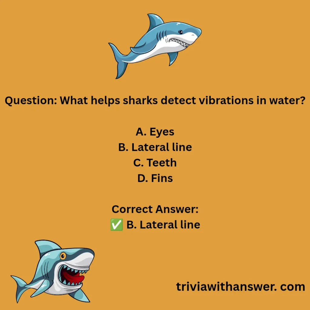 "Shark Trivia Questions and Answers"