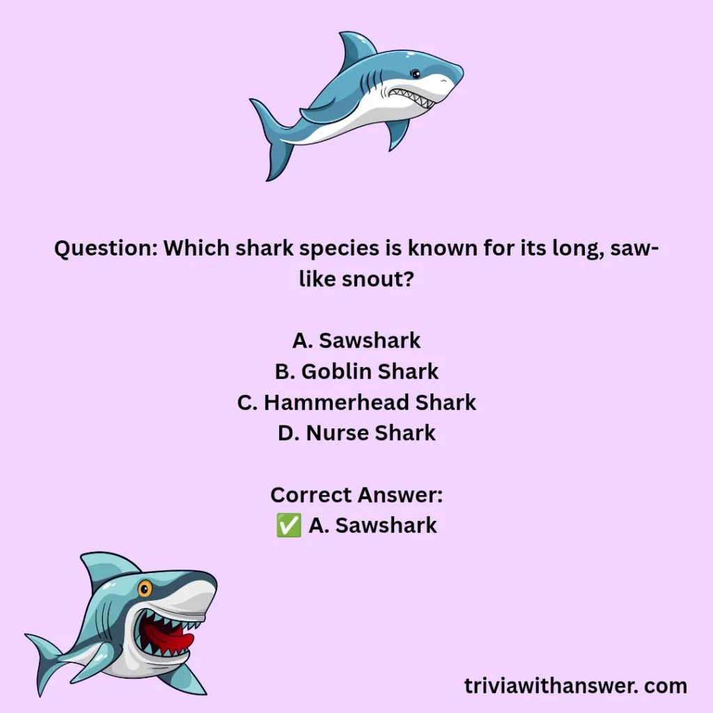 "Shark Trivia Questions and Answers"