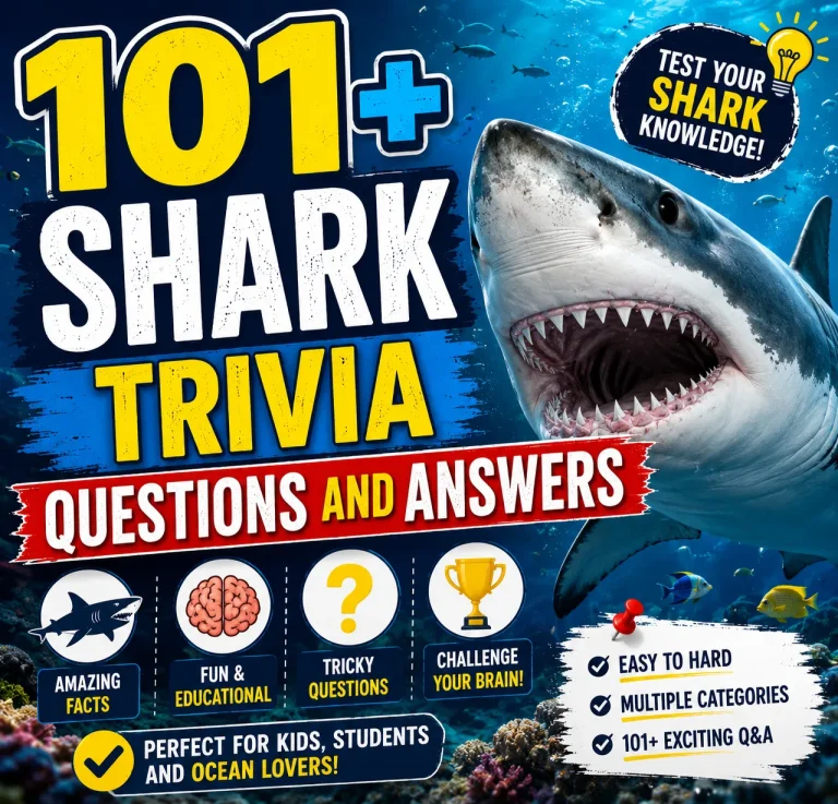 101+ Shark Trivia Questions and Answers (Fun & Challenging)