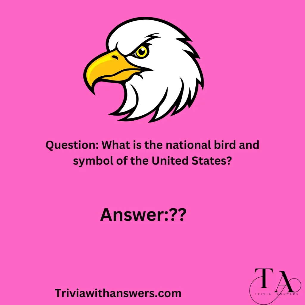 "Eagles Trivia Questions "