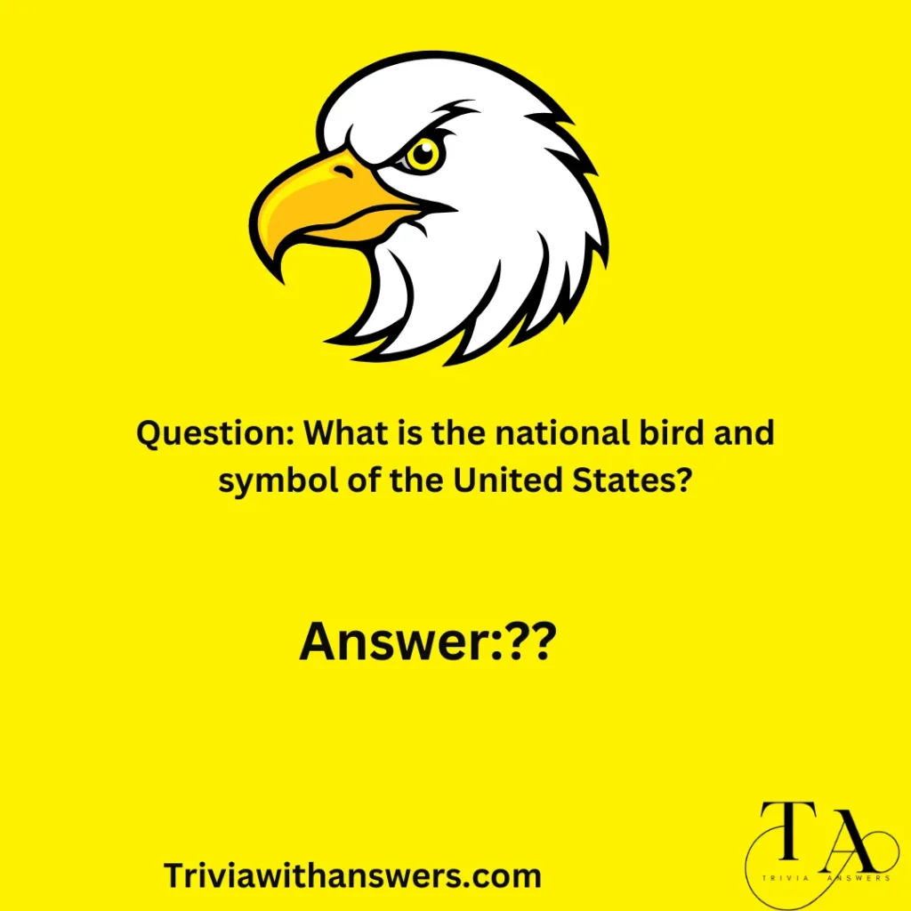 "Eagles Trivia Questions t"