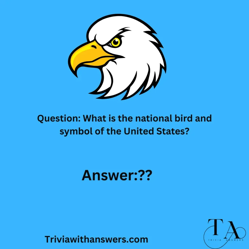"Eagles Trivia Questions"