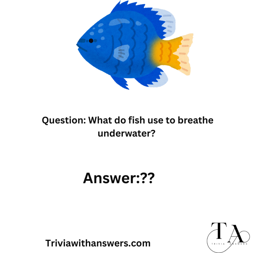 " Fish Trivia Questions and Answers"