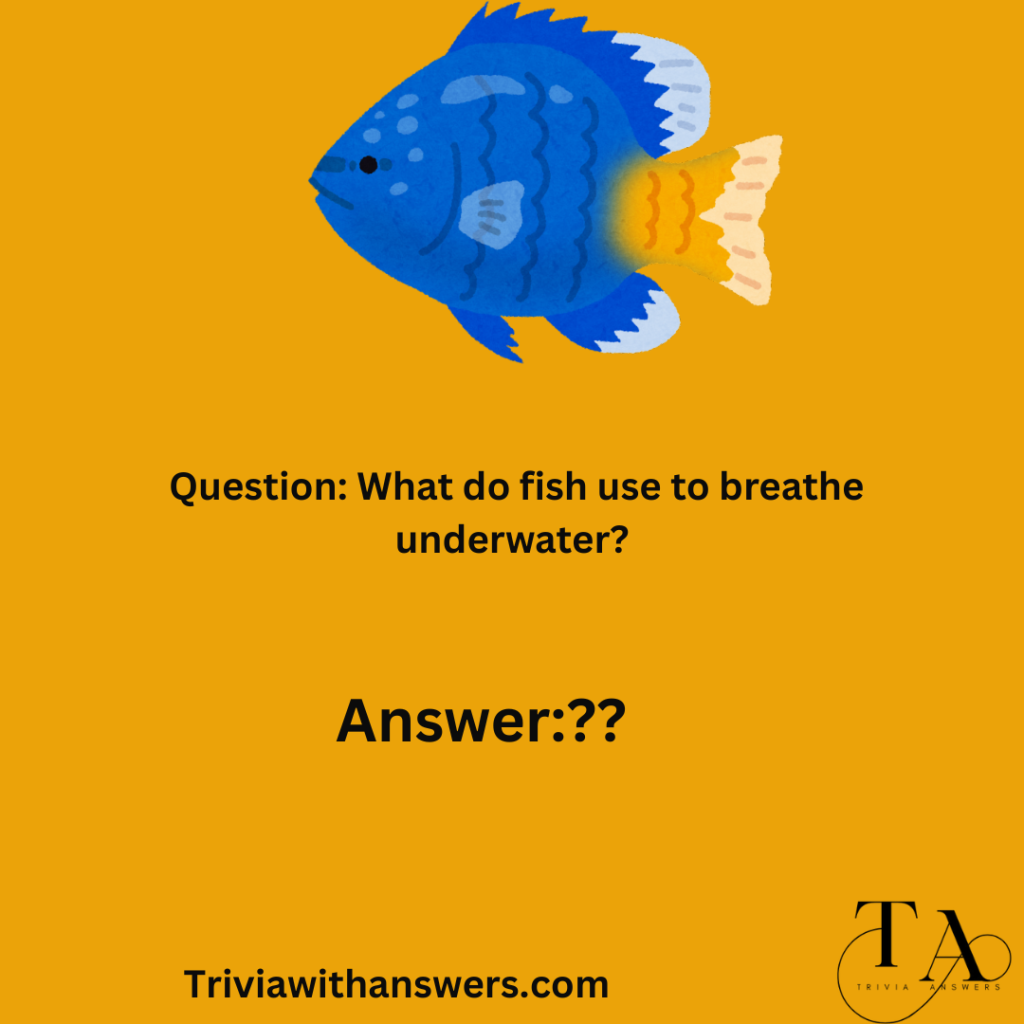 " Fish Trivia Questions and Answers"