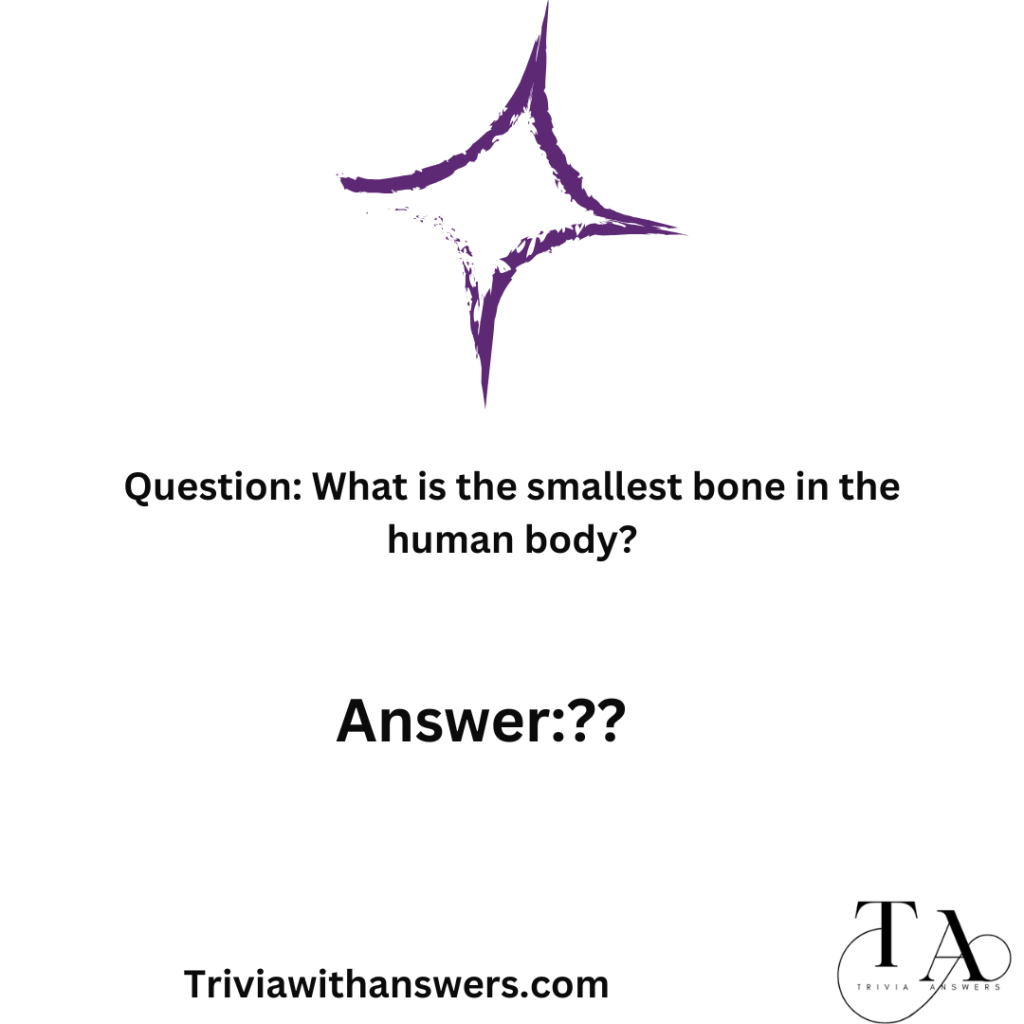 "Random Trivia Questions Answers"