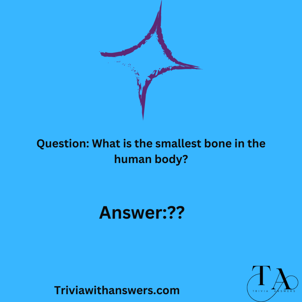"Random Trivia Questions Answers"
