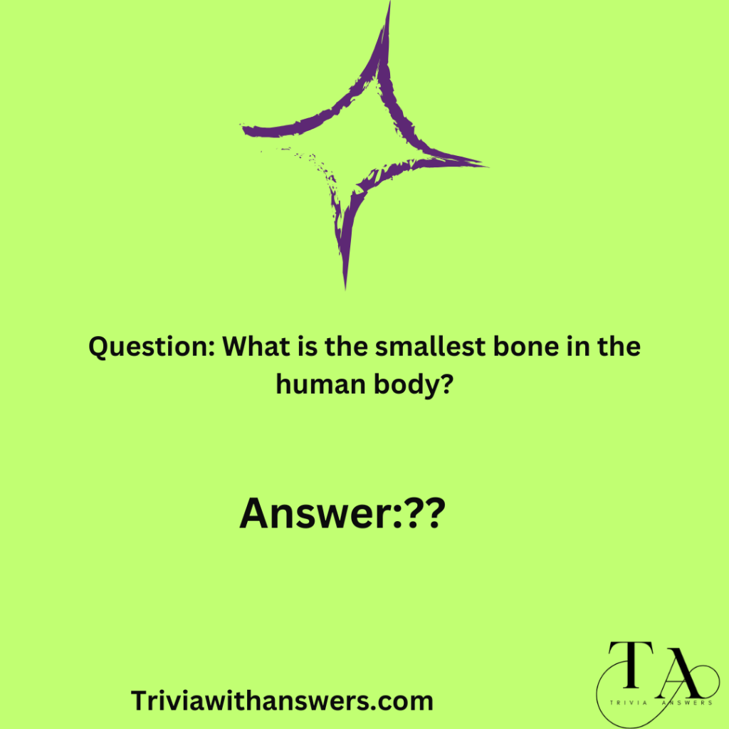 "Random Trivia Questions Answers"