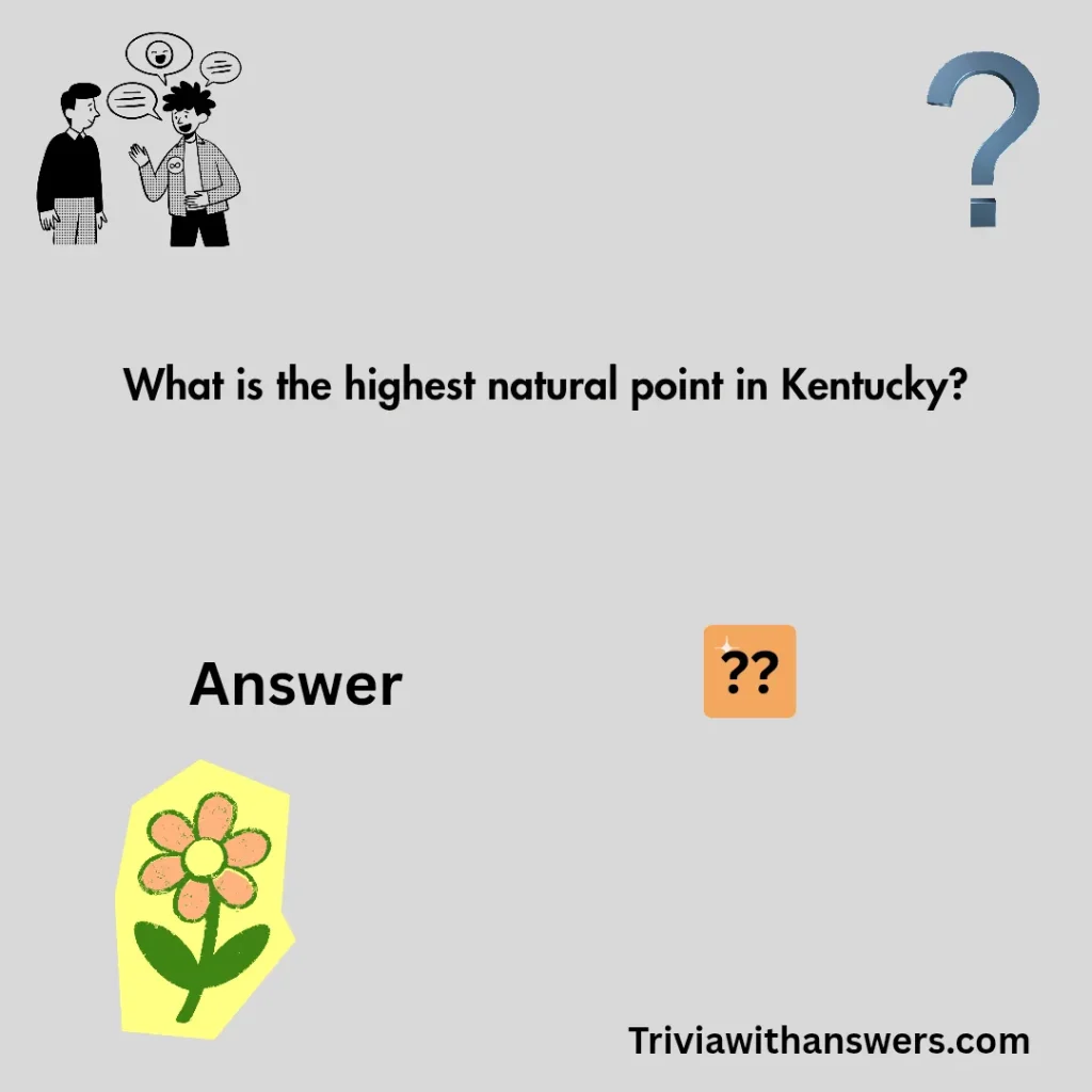"Questions And Answers"