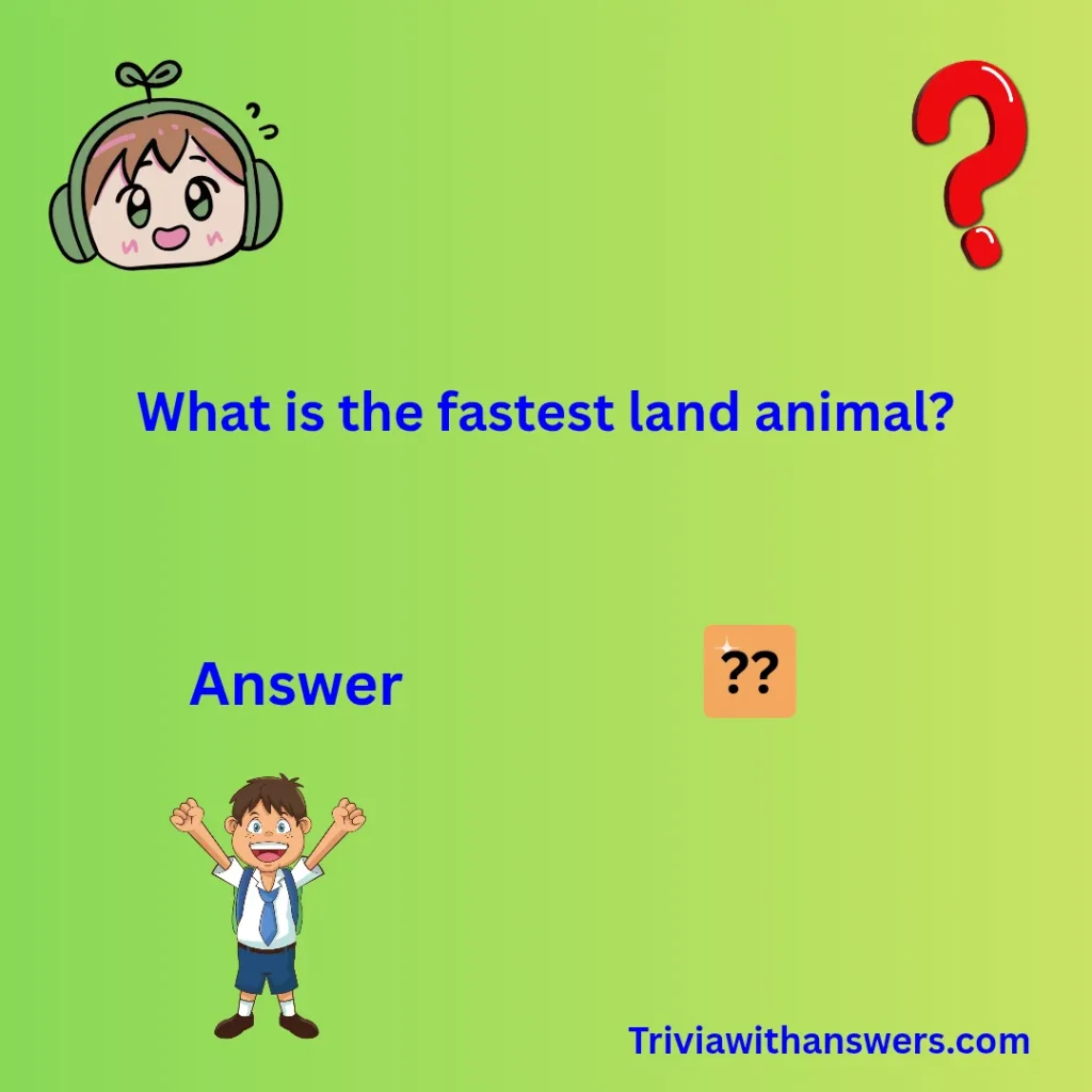 "3rd Grade Trivia Questions and Answers"