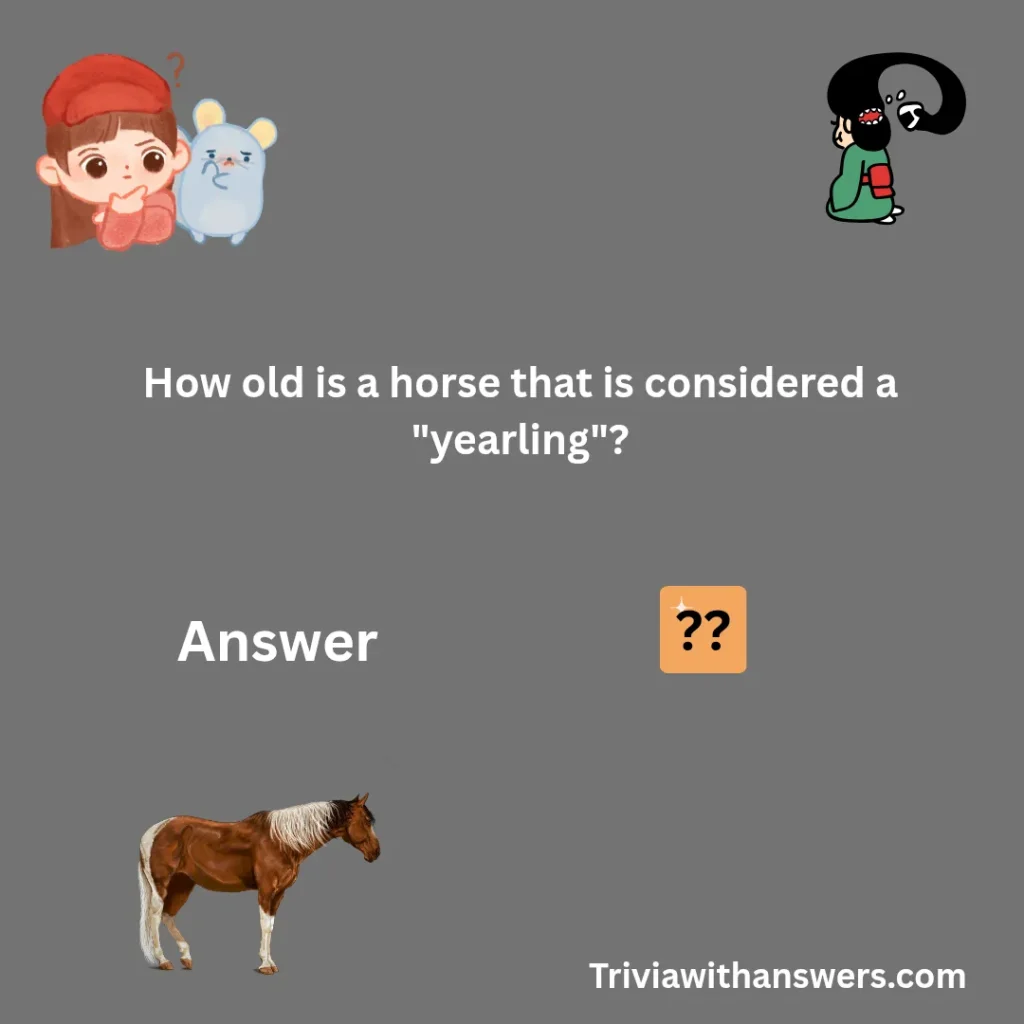 "Horse Trivia Questions and Answers"