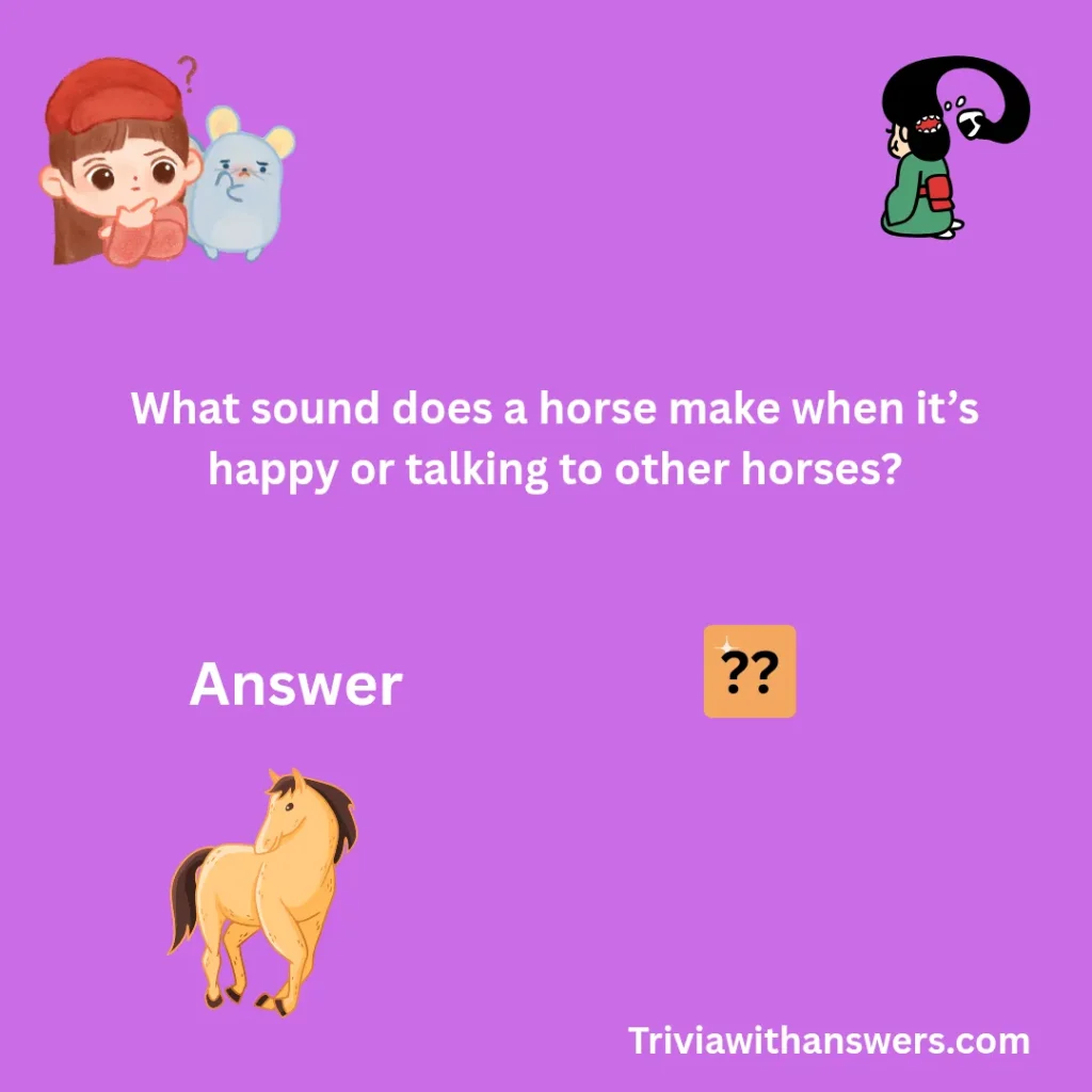 "Horse Trivia Questions and Answers"