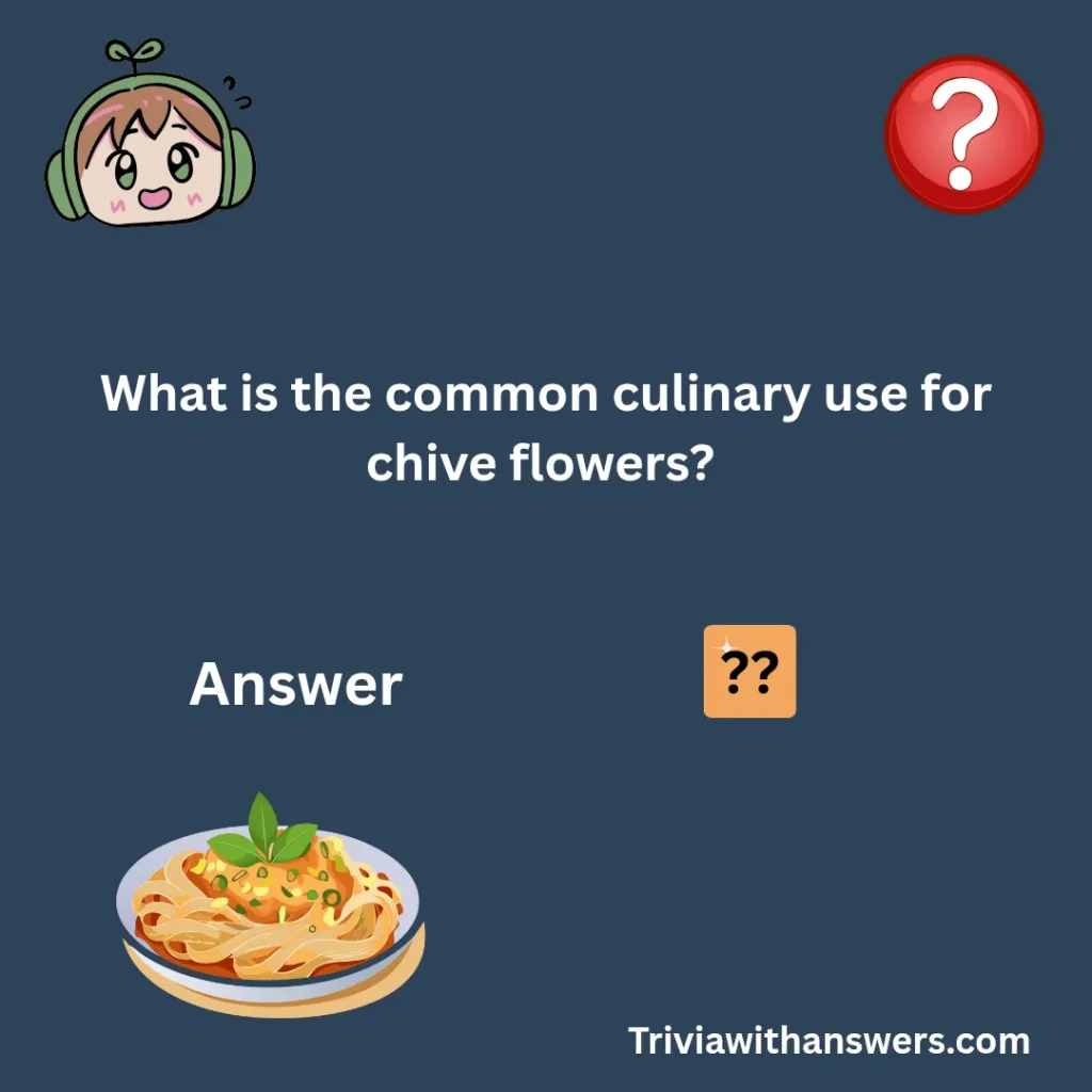 "Chive Trivia Questions"