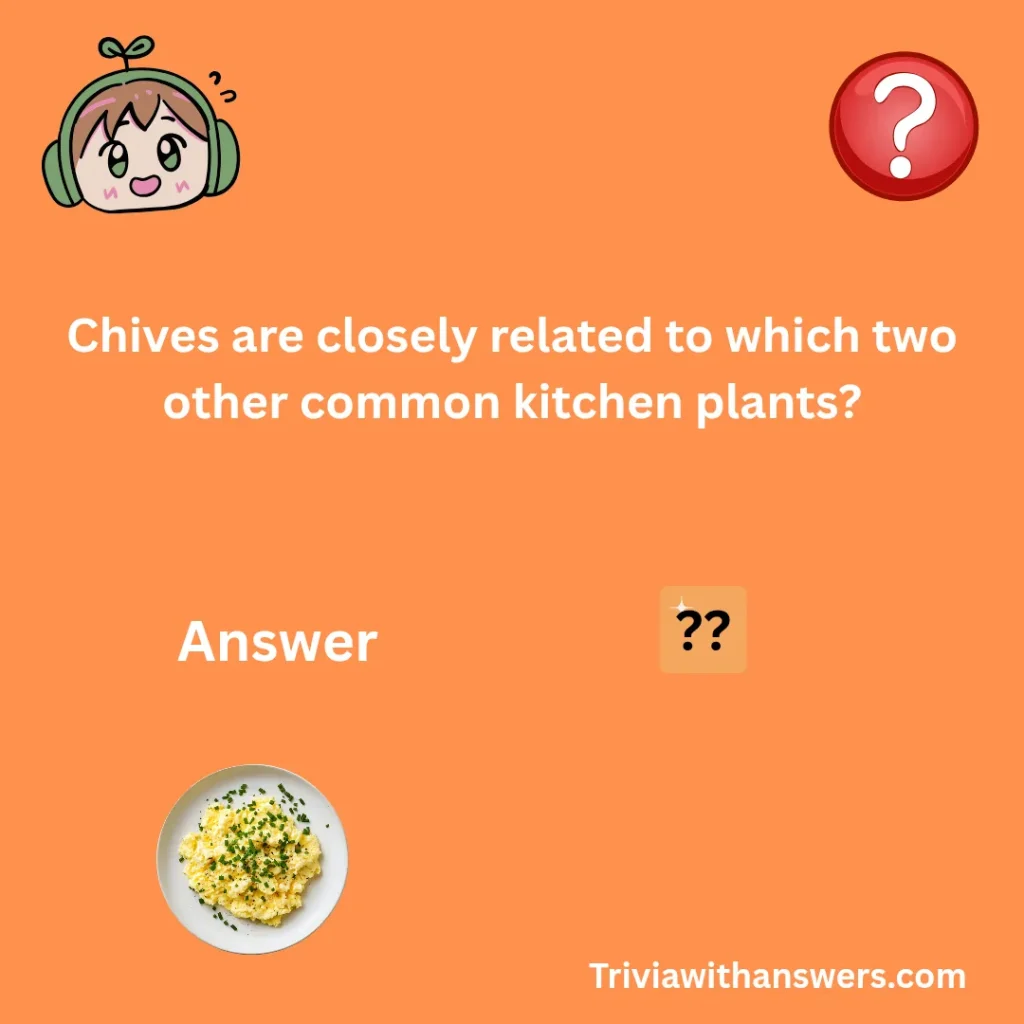 "Chive Trivia Questions"