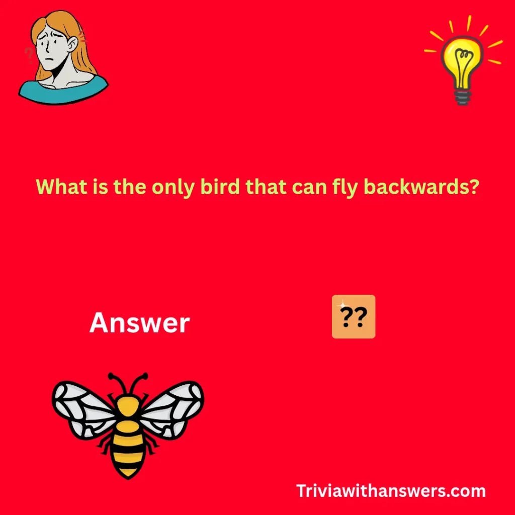 "Buzzfeed Trivia Questions"