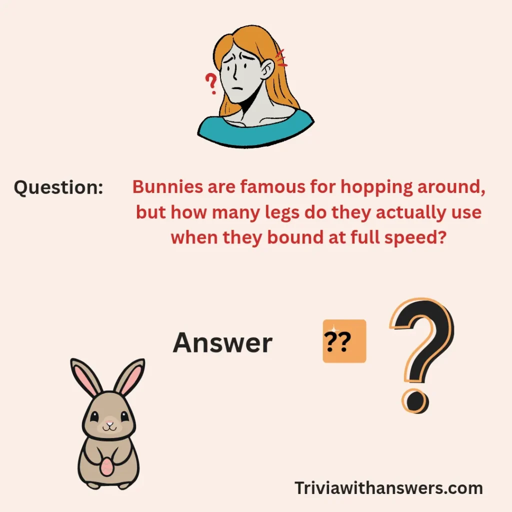 "Bunny Trivia Questions and Answers"