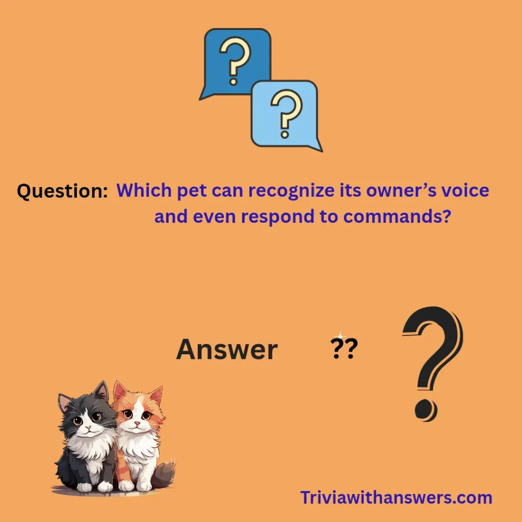 'Pet Dog Trivia Questions and Answers"