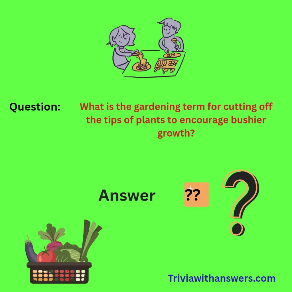"Vegetable Trivia Questions and Answers"