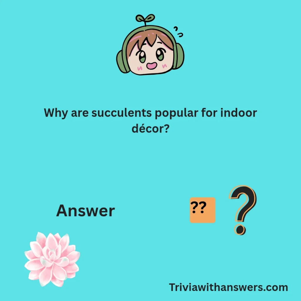 "Simple Succulent Trivia Question And Answers"