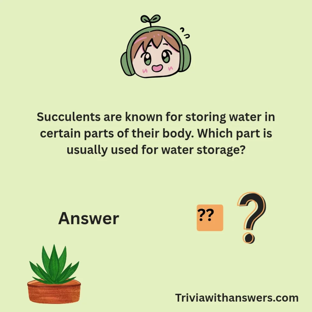 "Succulent Trivia Question And Answers for Adults "
