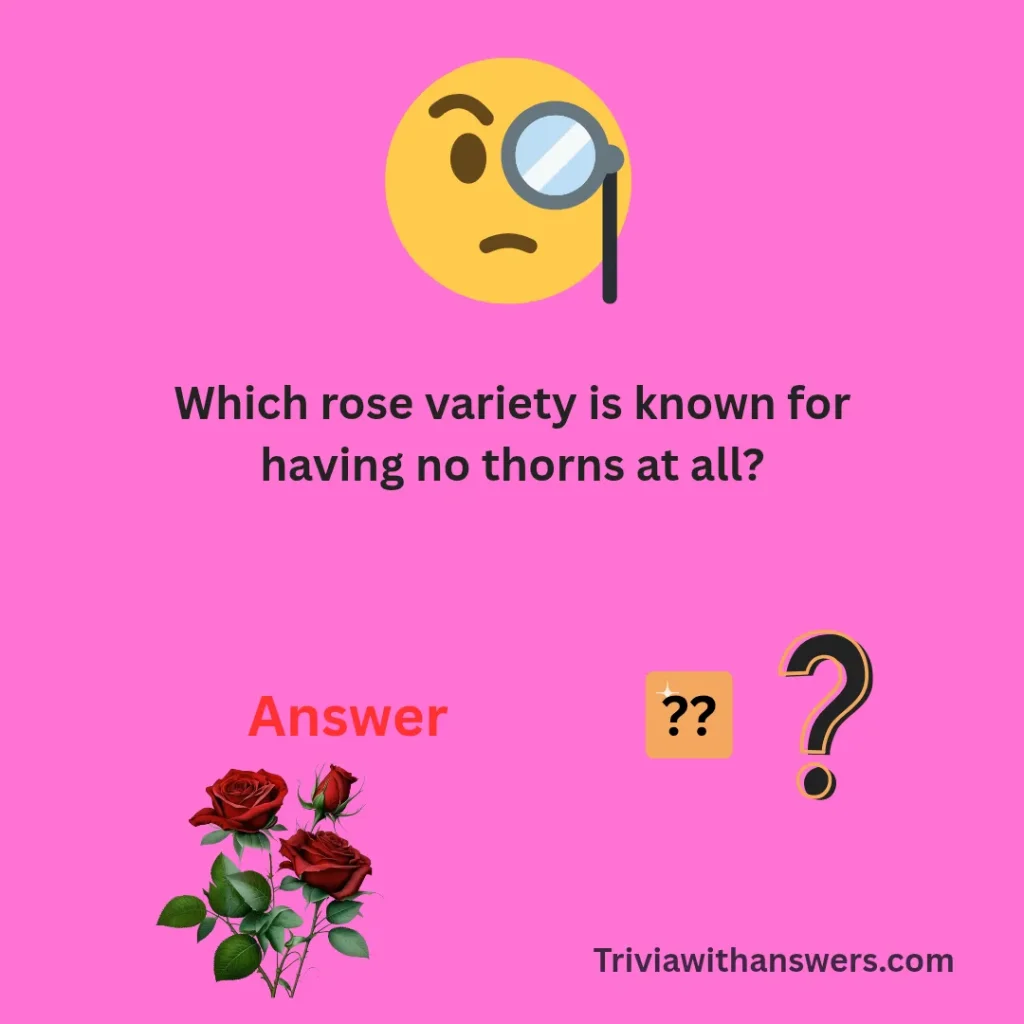 "Guns And Roses Trivia Questions and Answers"