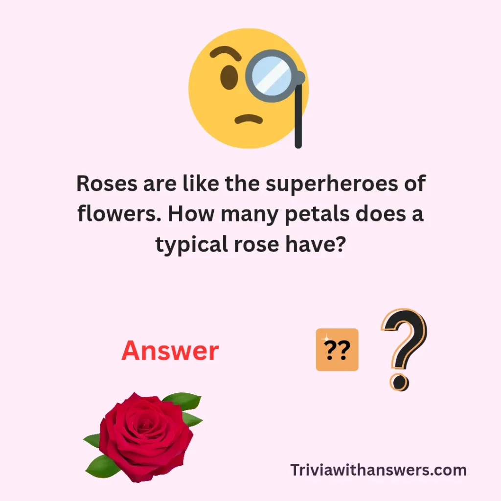 Best Rose Trivia Questions and Answers