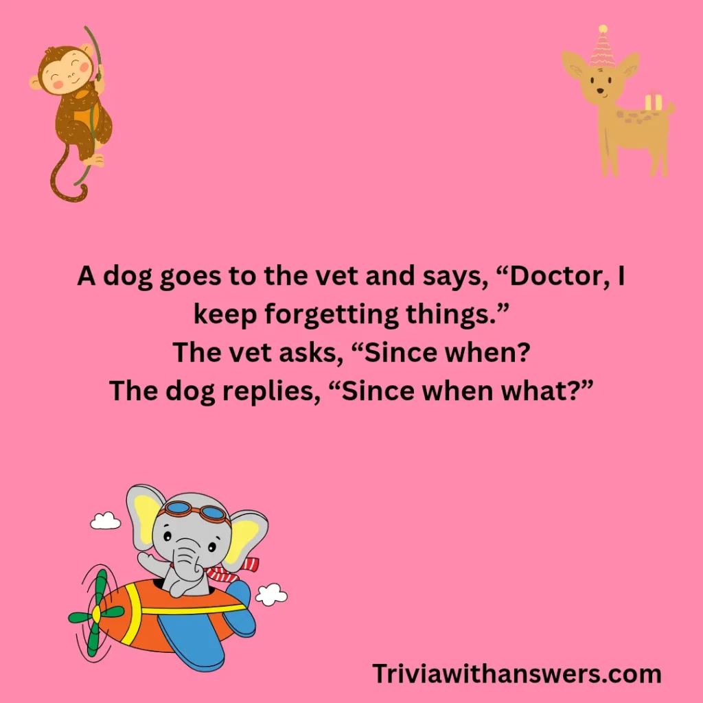 "Funny Animal Jokes"