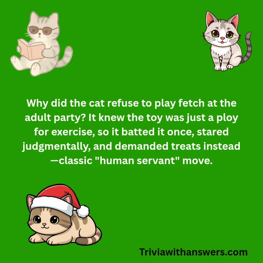 "Funny Cat Jokes"
