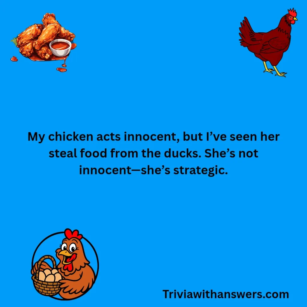 "Funny Chicken Jokes"