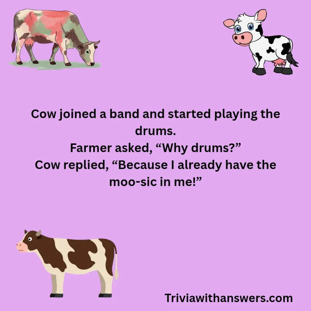 "Funny Cow Jokes"
