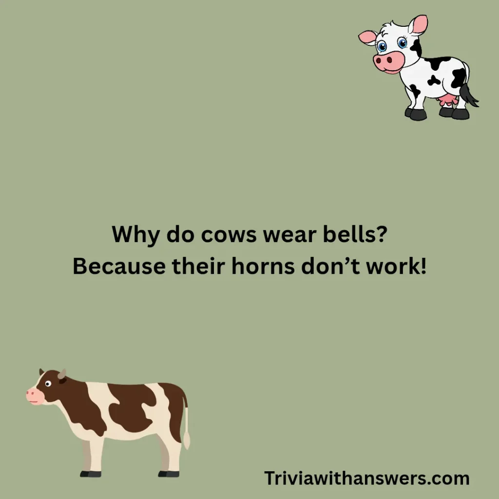 "Funny Cow Jokes"